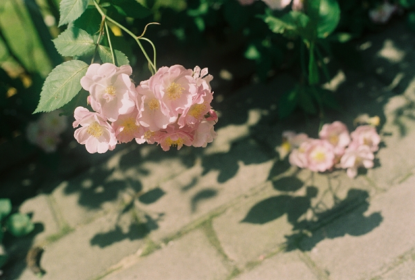 智慧美业